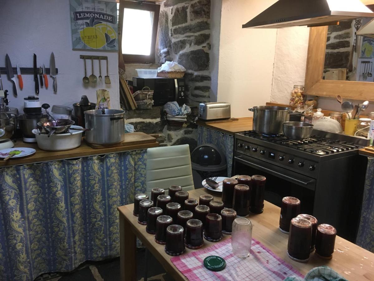 Chambres D'Hotes Le Lepadou-Bas Saint-Chély-dʼAubrac エクステリア 写真