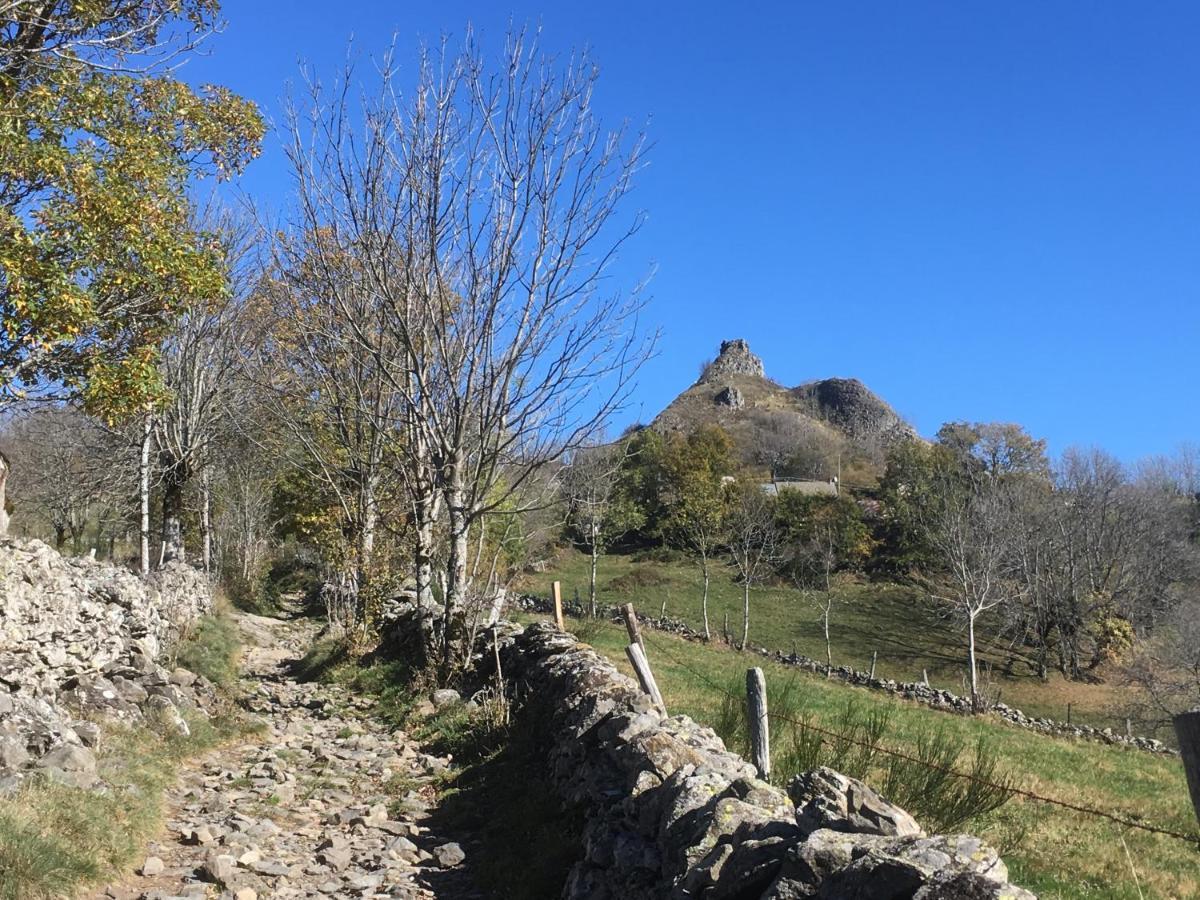 Chambres D'Hotes Le Lepadou-Bas Saint-Chély-dʼAubrac エクステリア 写真