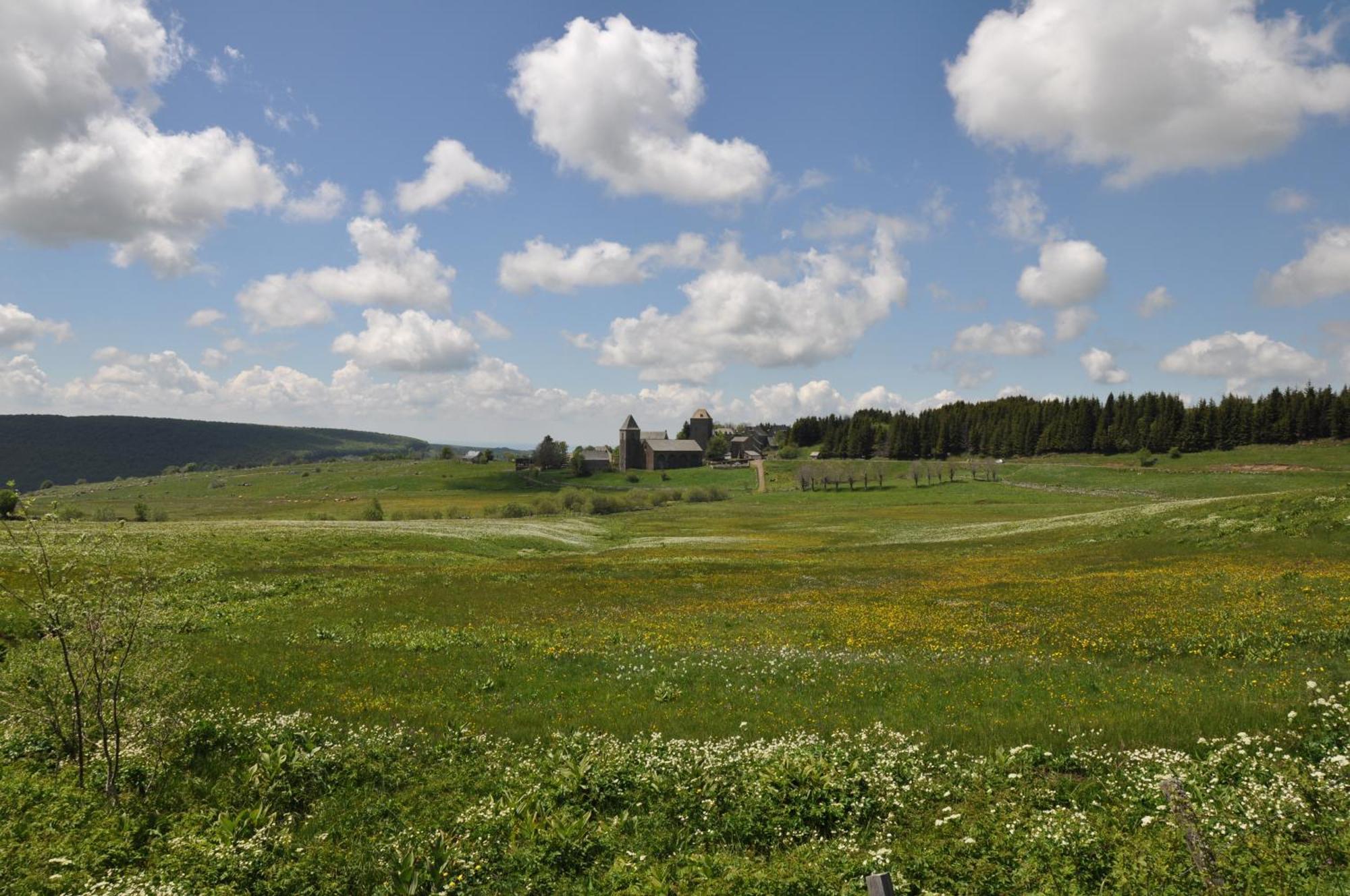 Chambres D'Hotes Le Lepadou-Bas Saint-Chély-dʼAubrac エクステリア 写真